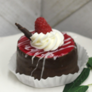 Chocolate Raspberry Charlotte