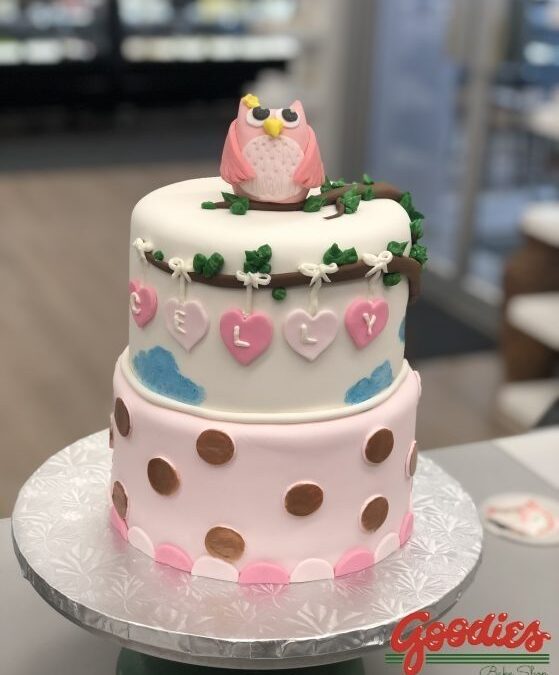 Baby Owl First Birthday Custom Cake