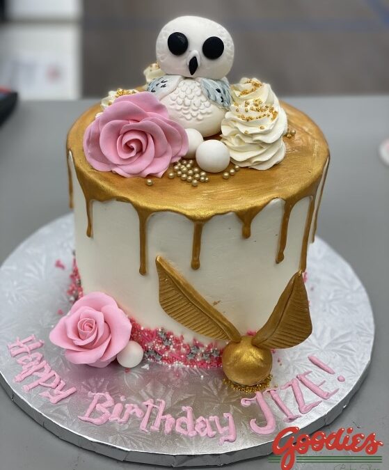Hedwig and Golden Snitch Birthday Cake